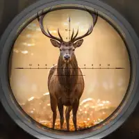 Deer Hunter: Hunting Simulator