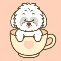 kedi köpek bakımı oyunu