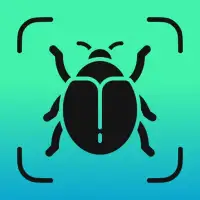 Insect Identifier - Insectium