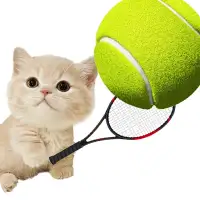 Cat Tennis Star