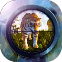 Wild Hunting 3D