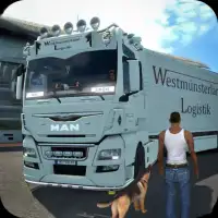 Hindistan tır Sürme sim 3D