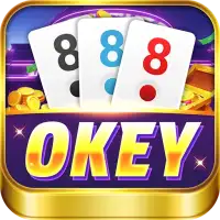 Okey İnternetsiz