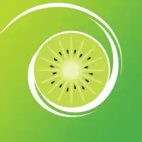 Kiwi Browser - Fast & Quiet