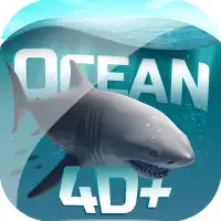 Ocean 4D+