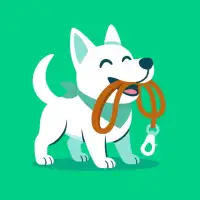 Hundeo - Köpek Eğitimi